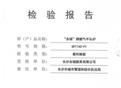 燃?xì)馄筋^爐檢驗(yàn)報(bào)告